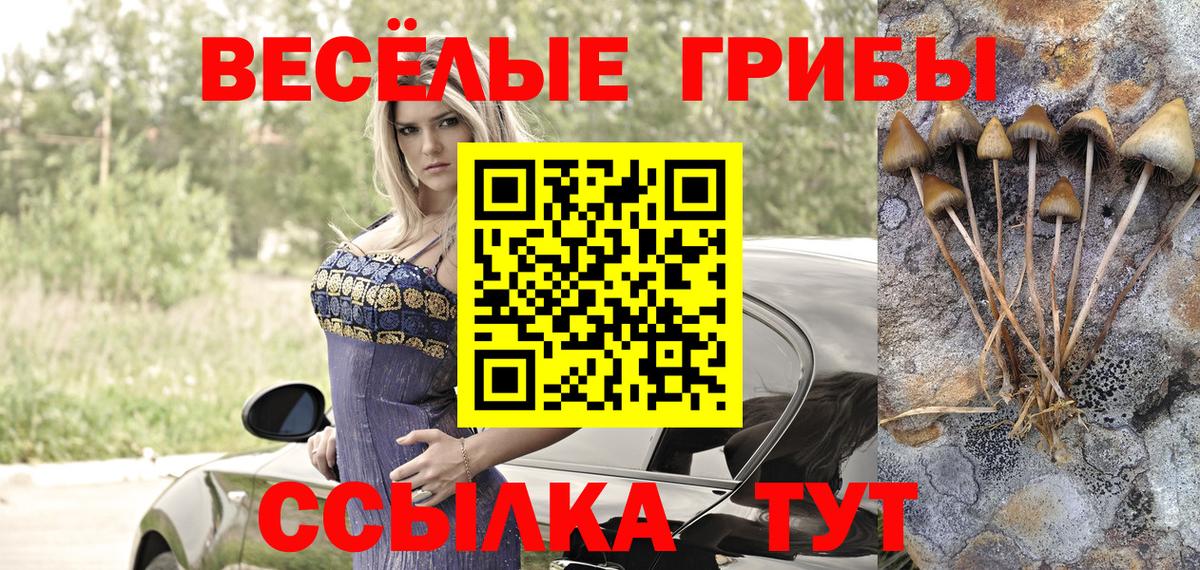 Галлюциногенные грибы Cubensis Рославль